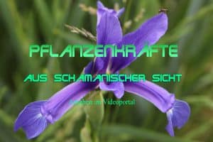 Iris _ Video auf Youtube ShamanicClinicEurope